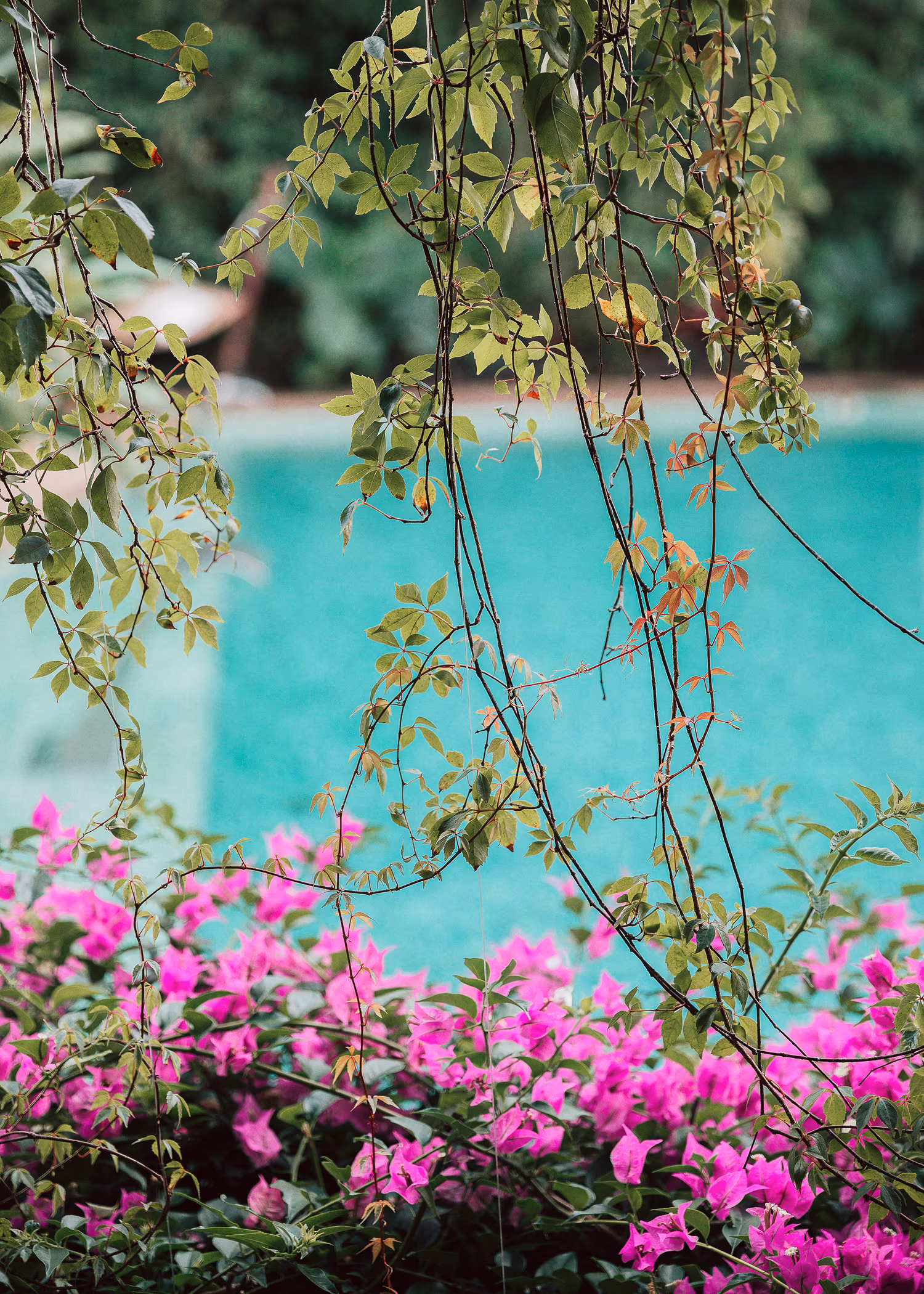 Engagement session in Rosewood Mayakoba — photo 3