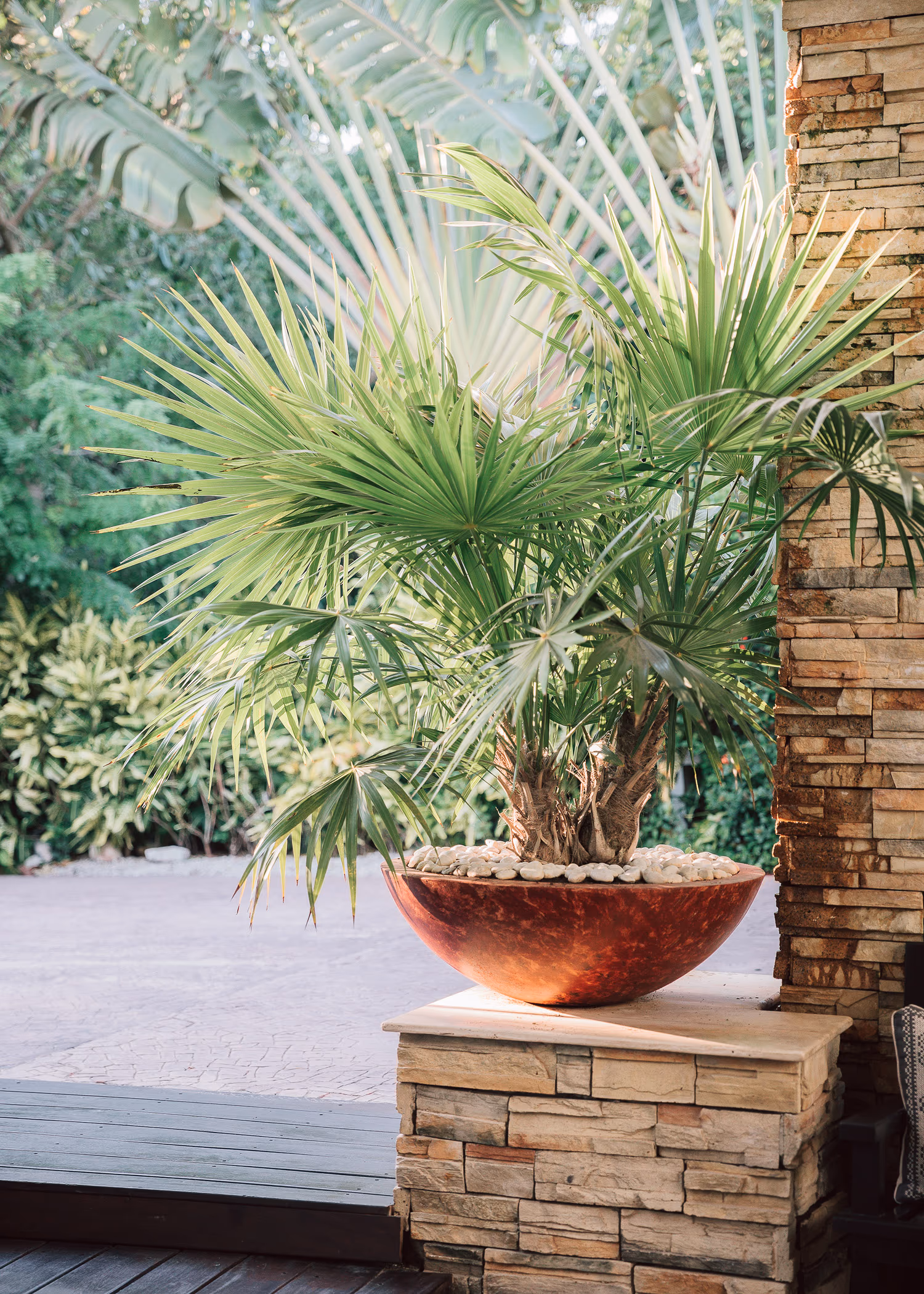 Engagement session in Rosewood Mayakoba — photo 11