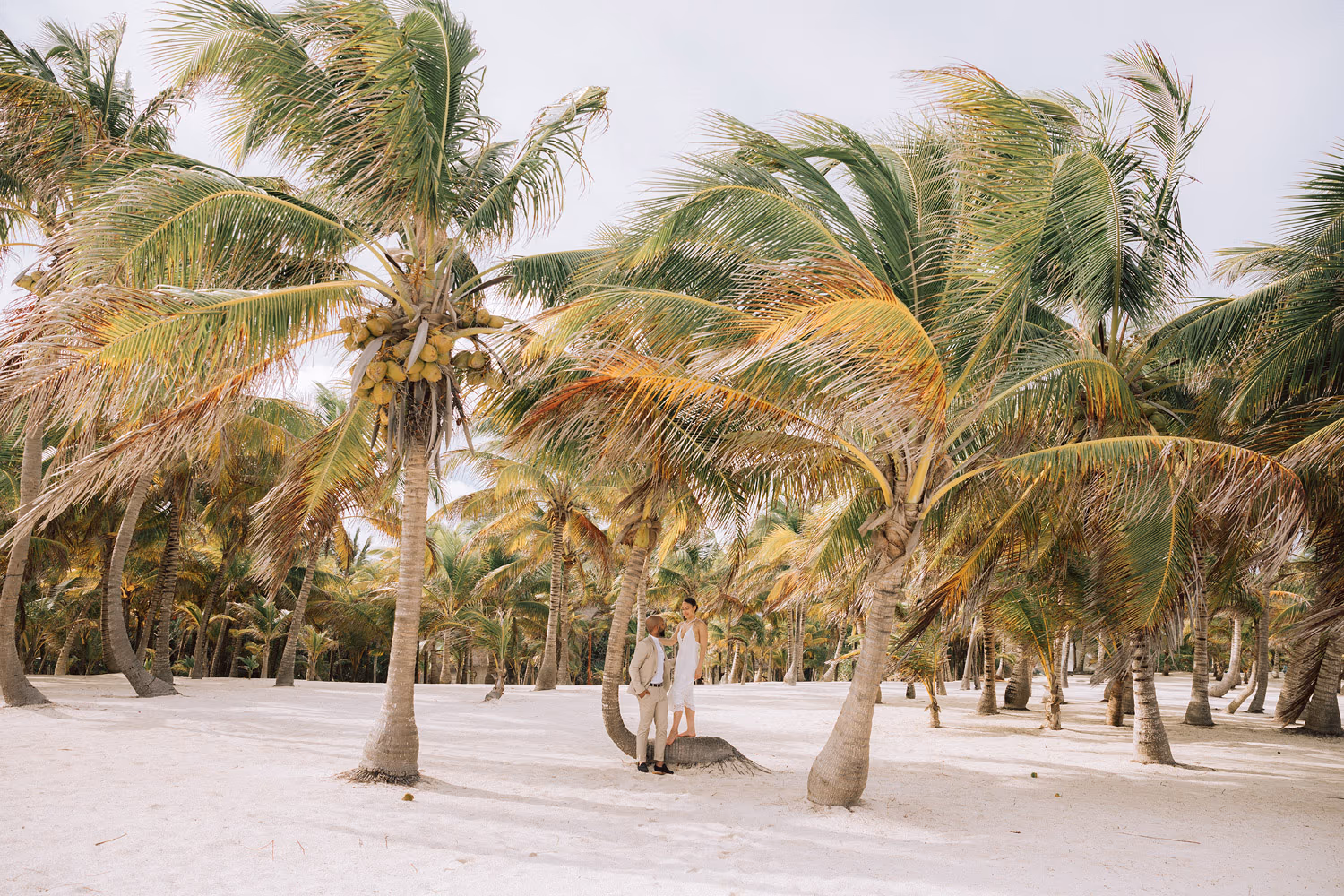 Honeymoon photoshoot at UNICO 20°87° Riviera Maya — photo 10