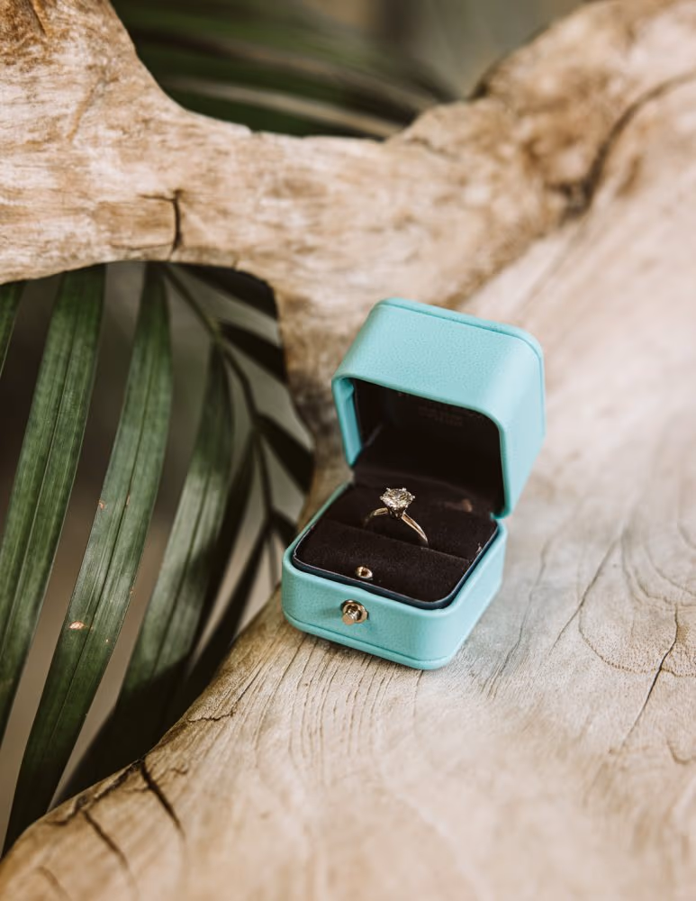 Proposal and engagement session in Tulum — photo 1