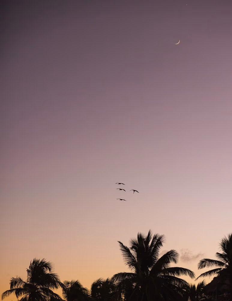 Proposal and engagement session in Tulum — photo 21