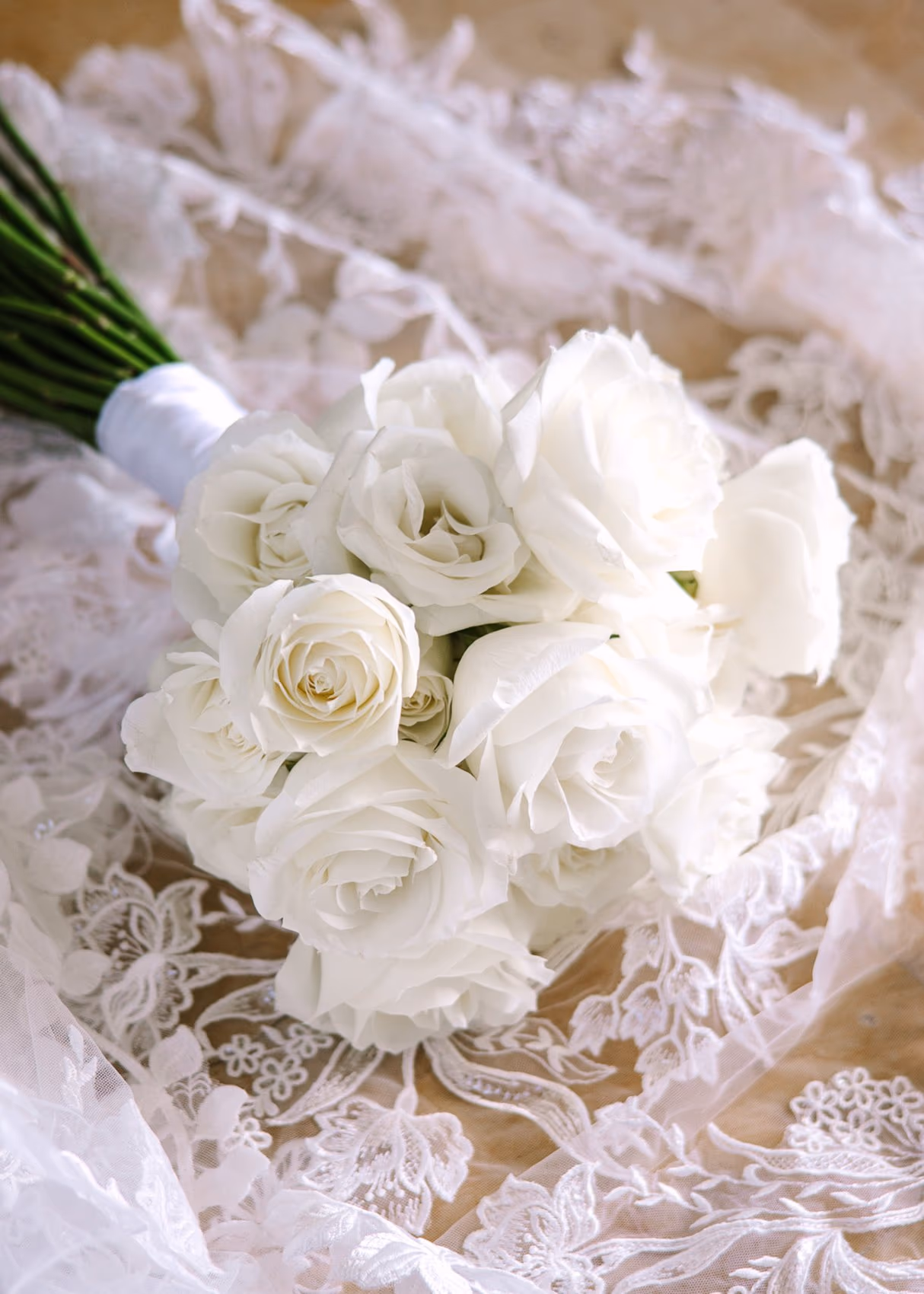 Beach Wedding in Dreams Riviera Cancun Resort & Spa — photo 17