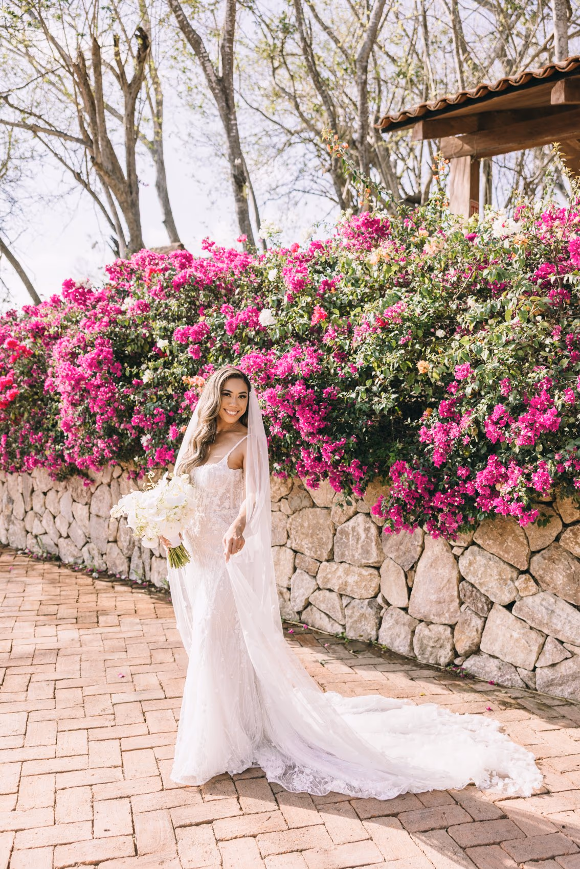Wedding at Dreams Bahia Mita Surf & Spa Resort — photo 63