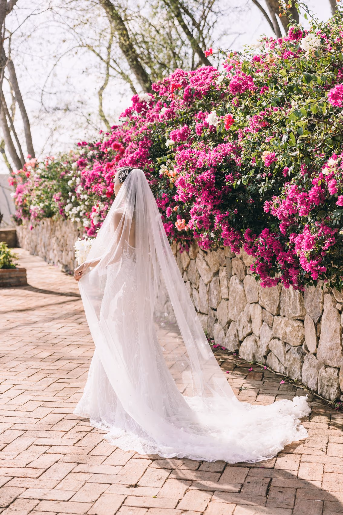 Wedding at Dreams Bahia Mita Surf & Spa Resort — photo 68