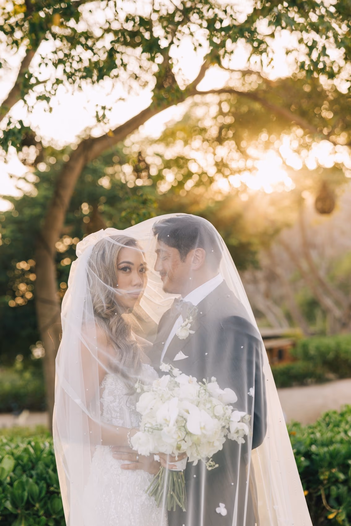 Wedding at Dreams Bahia Mita Surf & Spa Resort — photo 133