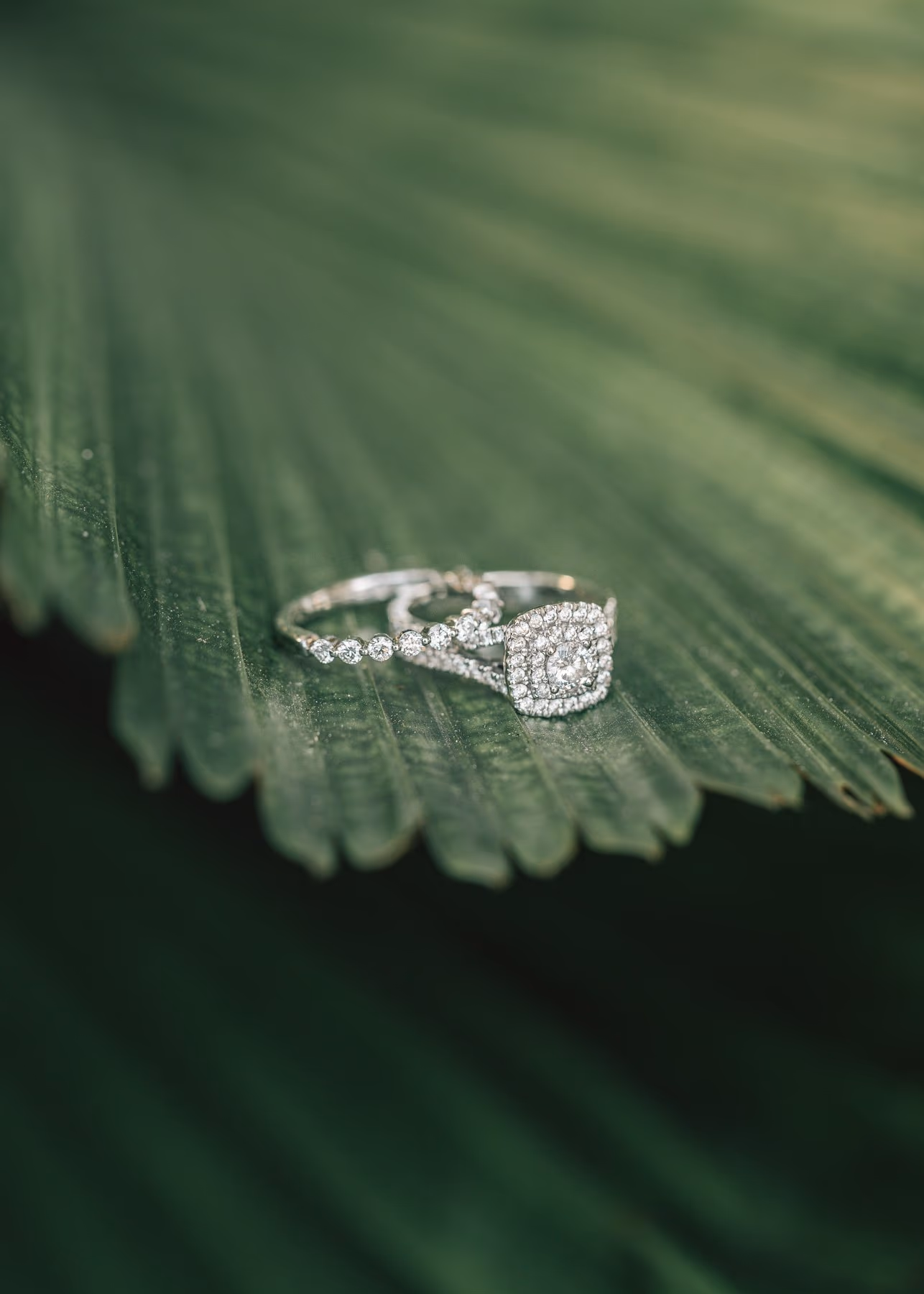 WEDDING AT Dreams Playa Mujeres Golf & Spa Resort — photo 10