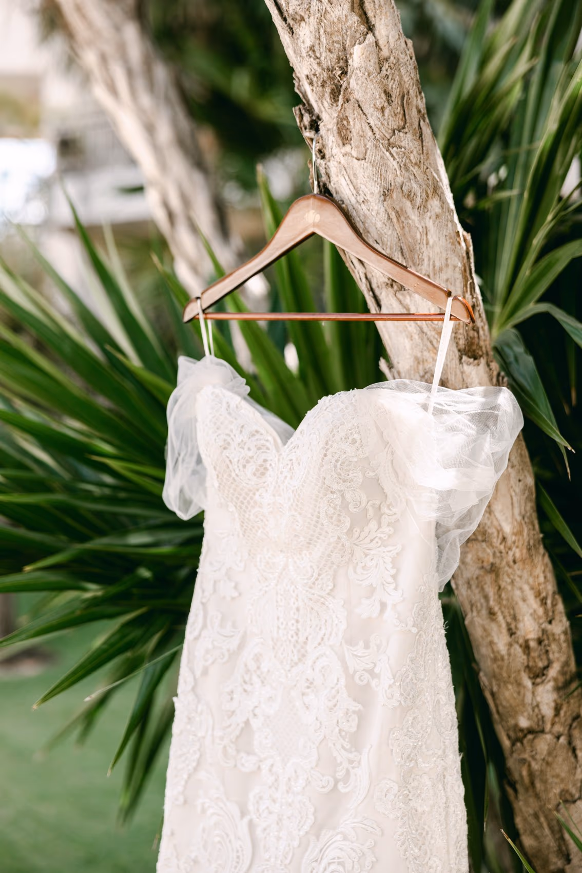 Wedding at Dreams Riviera Cancun Resort & Spa — photo 5