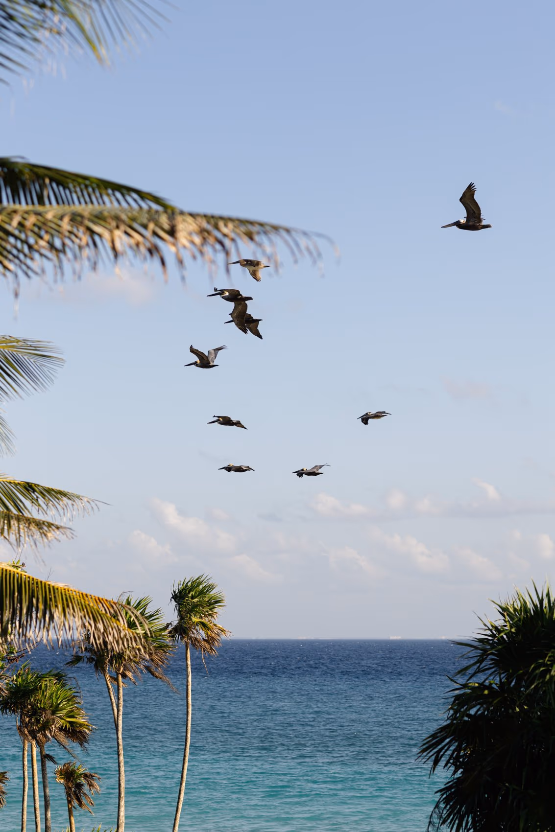 Wedding at Hotel Xcaret Arte — photo 52