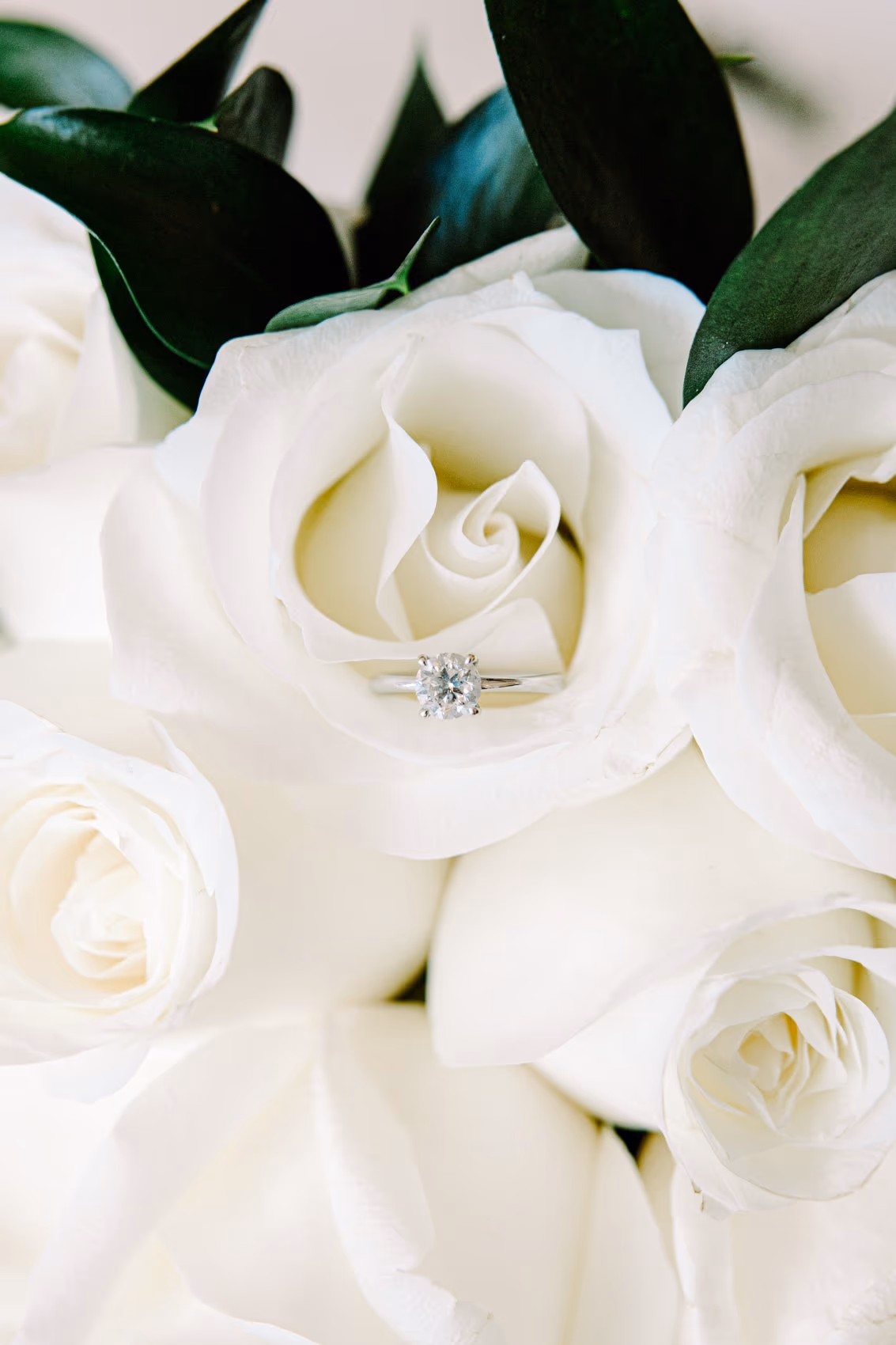 Wedding at Royalton Riviera Cancun-Sky Hideaway — photo 6