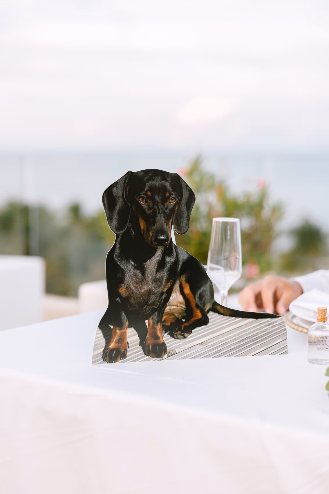 Wedding at Royalton Riviera Cancun-Sky Hideaway — photo 97