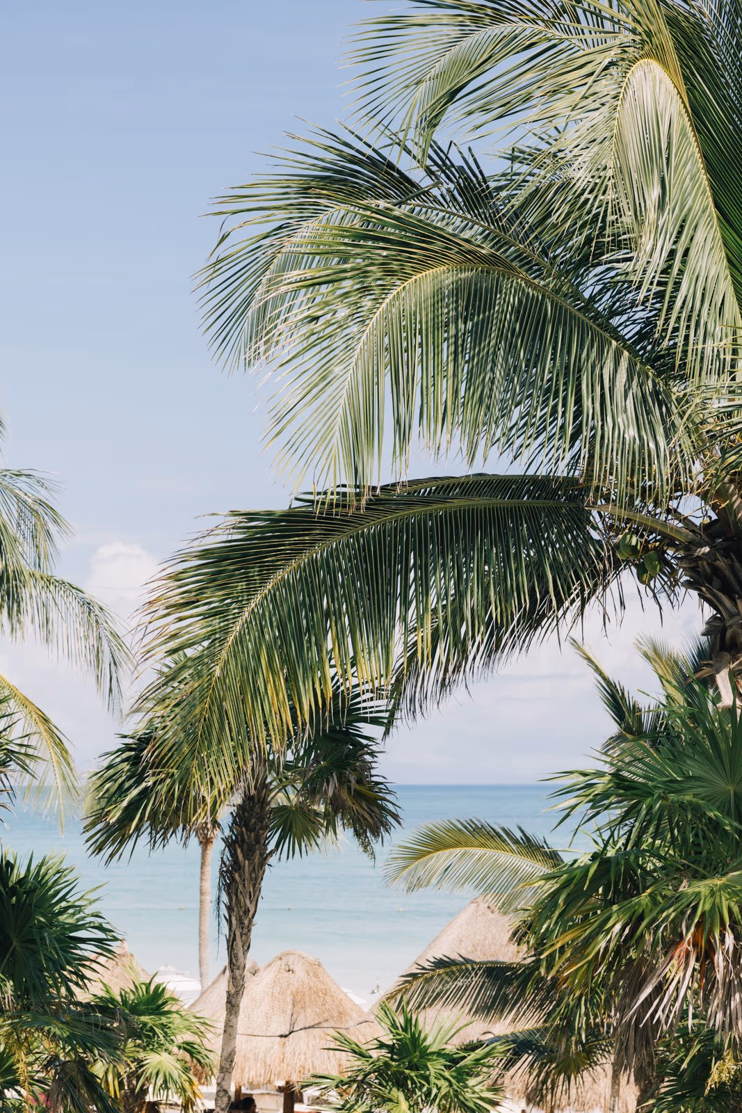 Wedding at Secrets Maroma Beach — photo 3