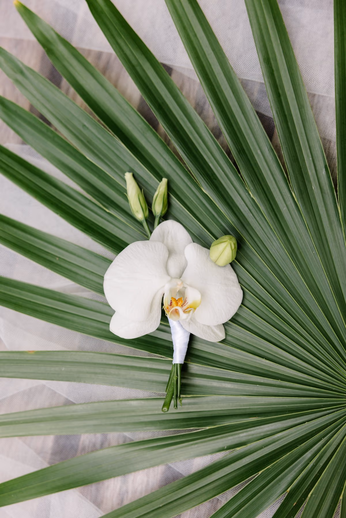 Wedding at Secrets Moxche Playa Del Carmen — photo 6