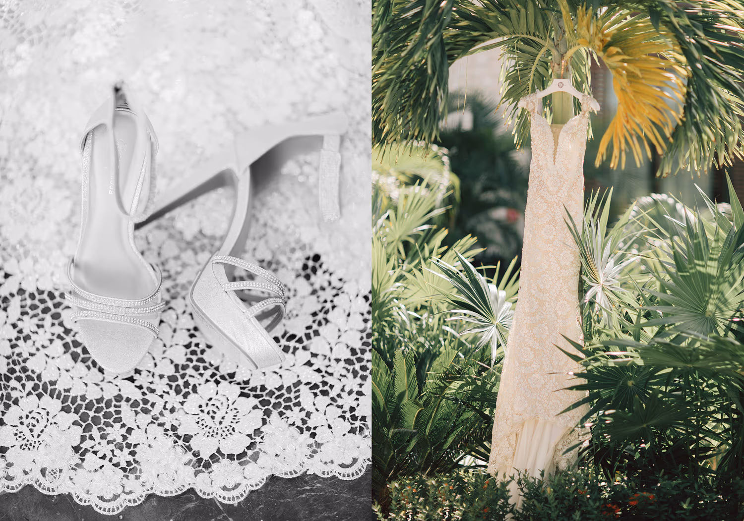 Wedding in Dreams Playa Mujeres — photo 3
