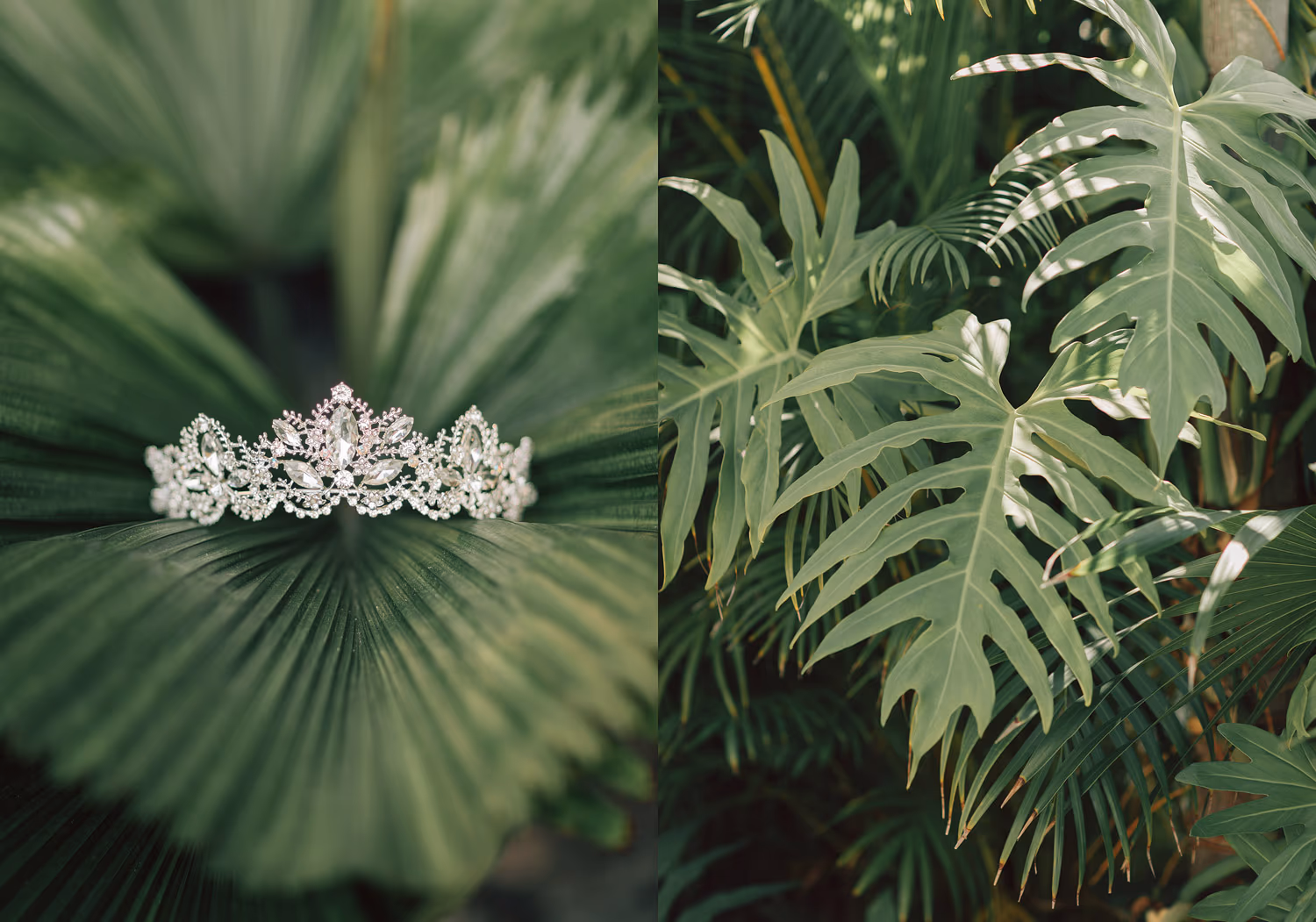 Wedding in Dreams Playa Mujeres — photo 4