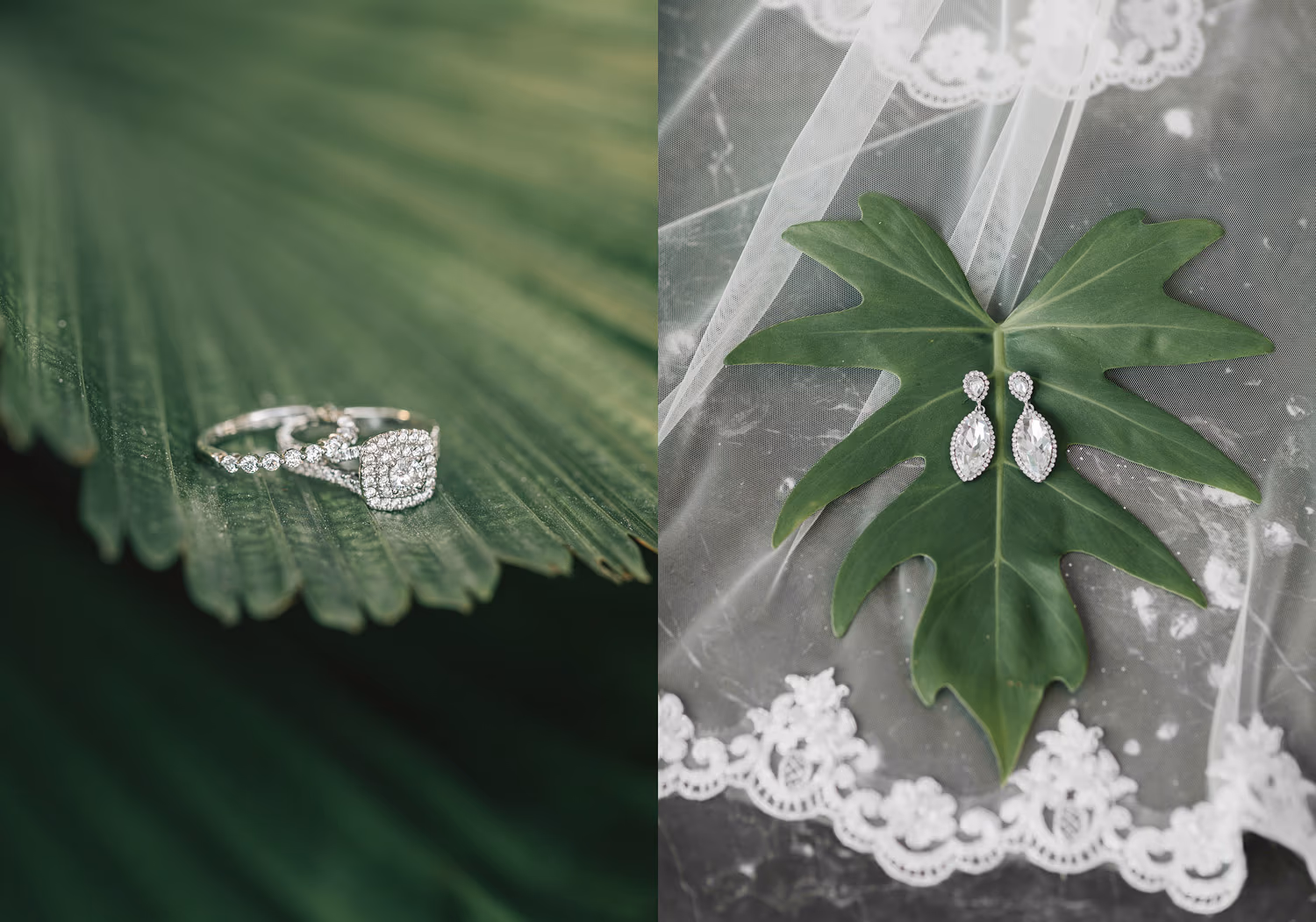 Wedding in Dreams Playa Mujeres — photo 10