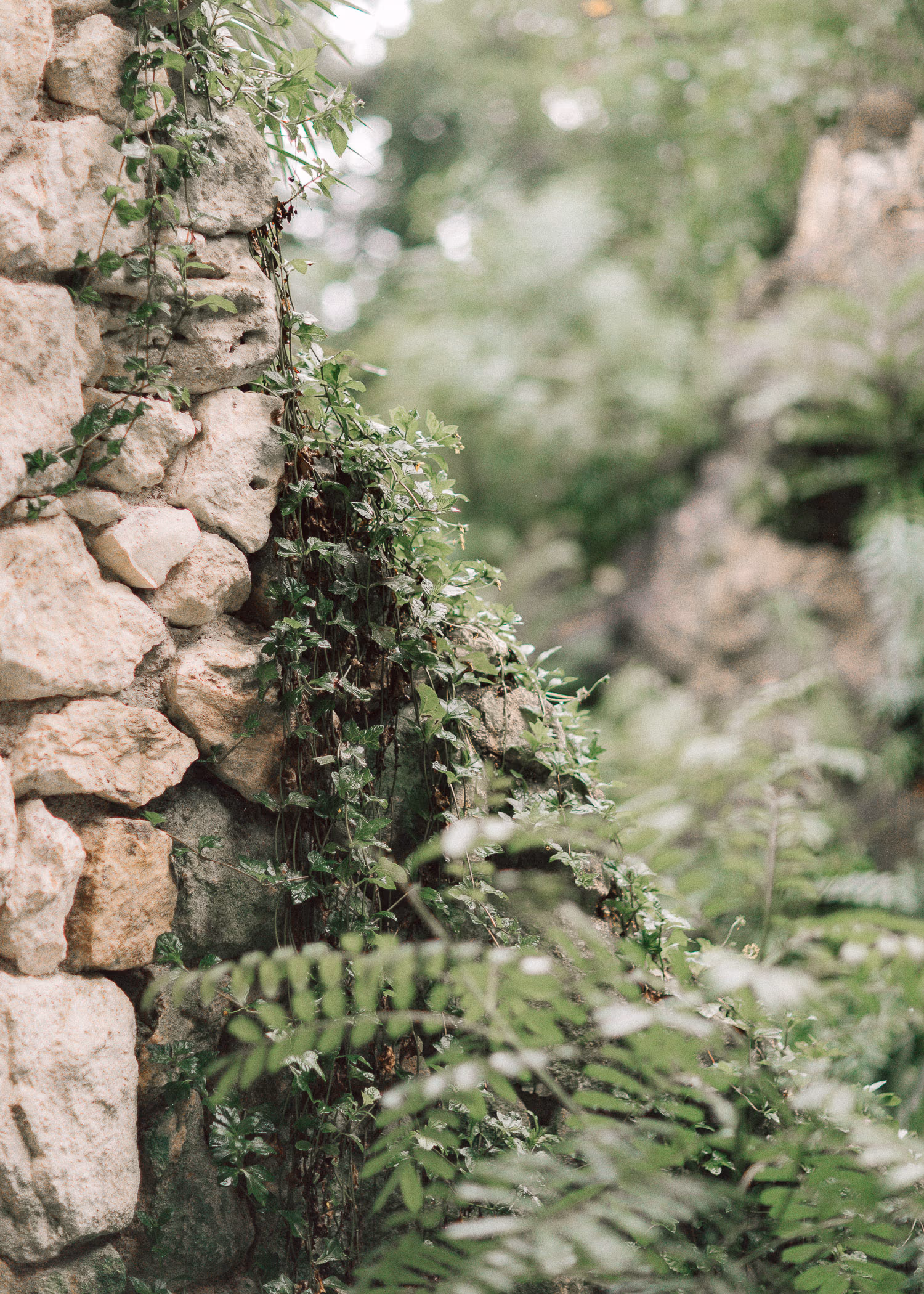 wedding in hotel xcaret mexico — photo 5
