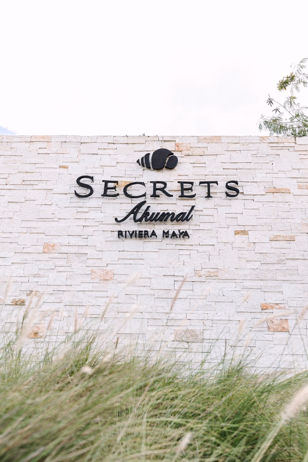 Wedding in Secrets Akumal Riviera Maya — photo 3