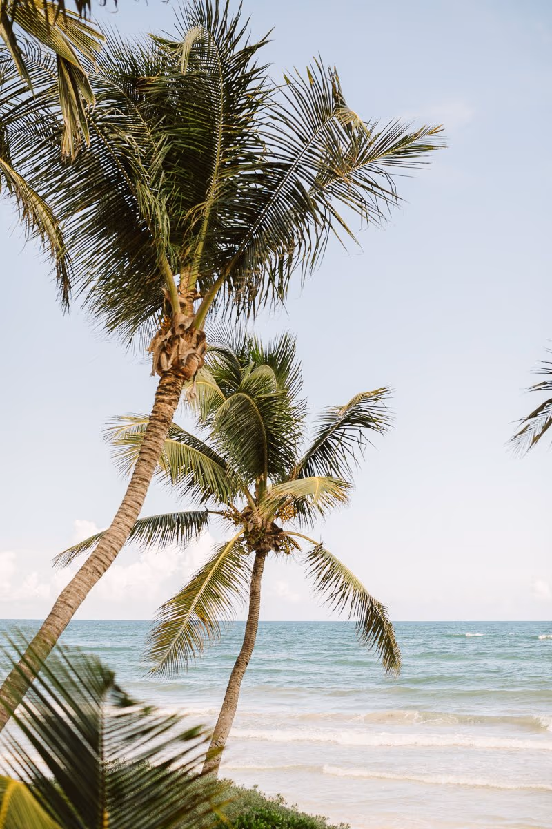 Wedding in Tulum- The Beach Tulum Hotel — photo 4