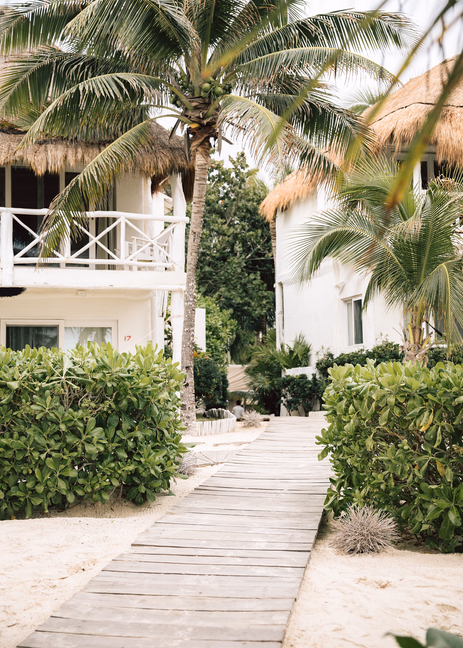 Wedding in Tulum — photo 7