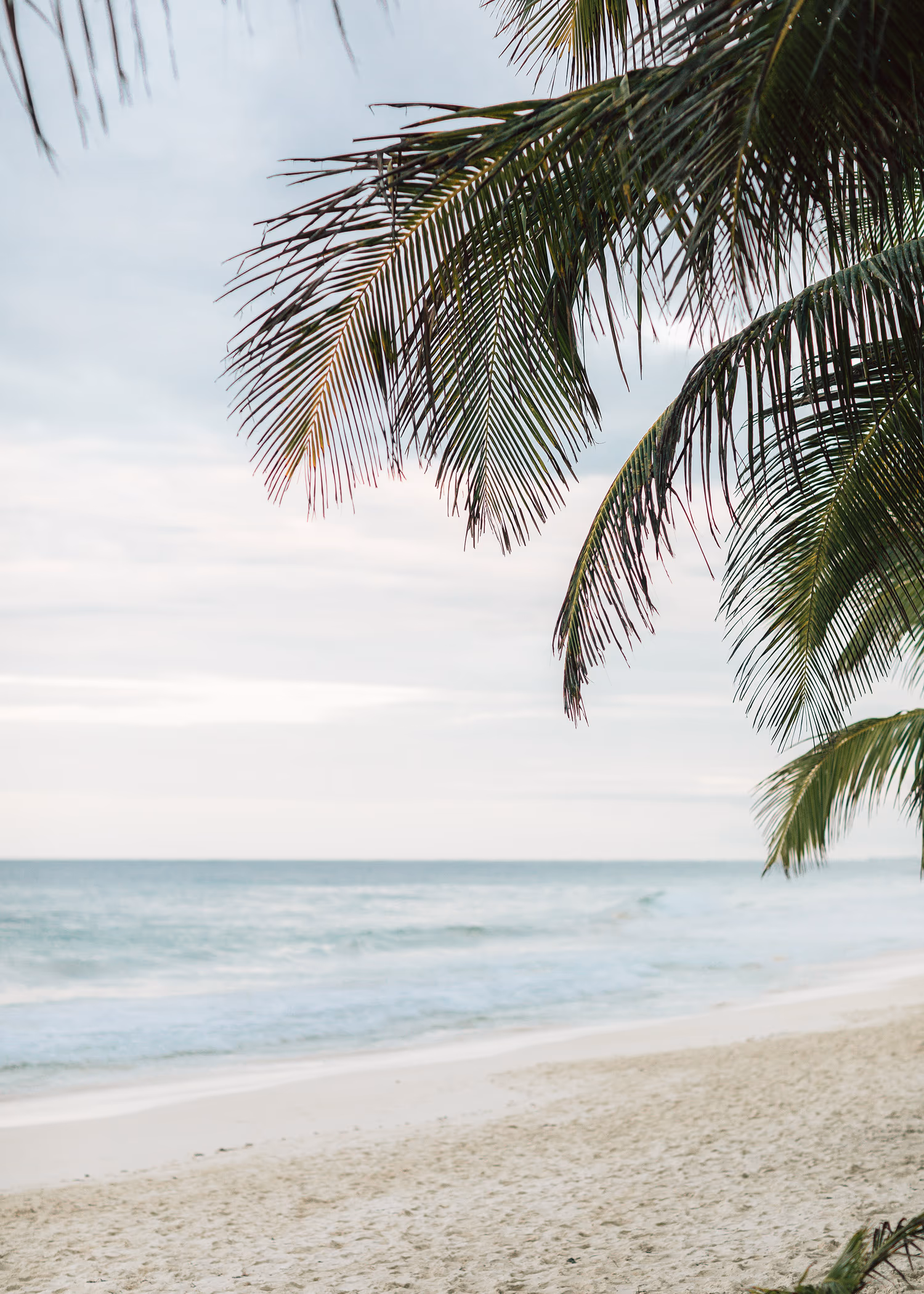 Wedding in Tulum — photo 71