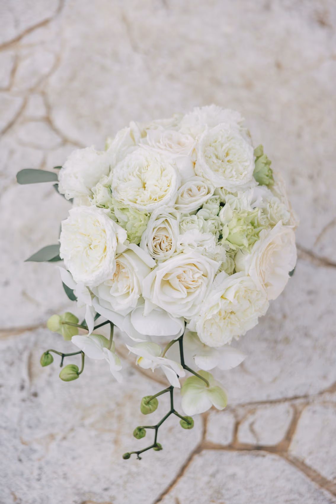 Wedding in Villa la Joya, Riviera Maya — photo 7