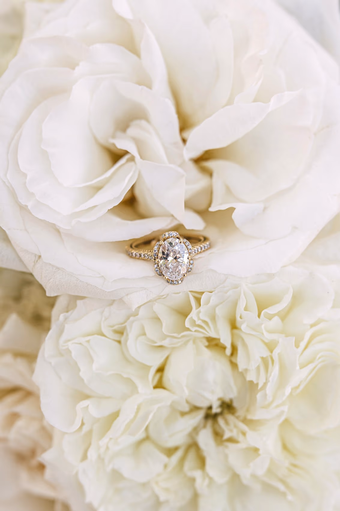Wedding in Villa la Joya, Riviera Maya — photo 9