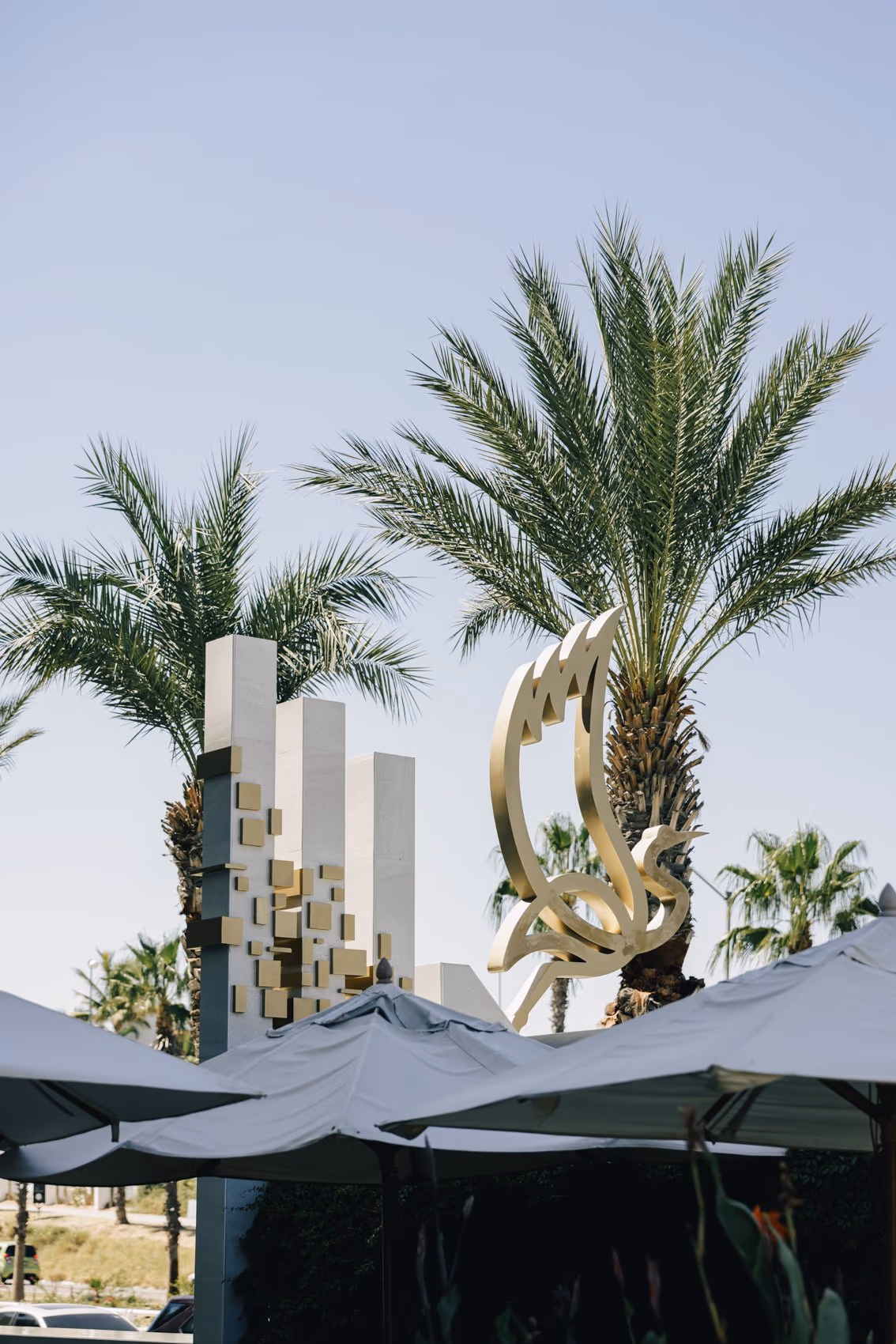 Weddings At Garza Blanca Los Cabos — photo 5