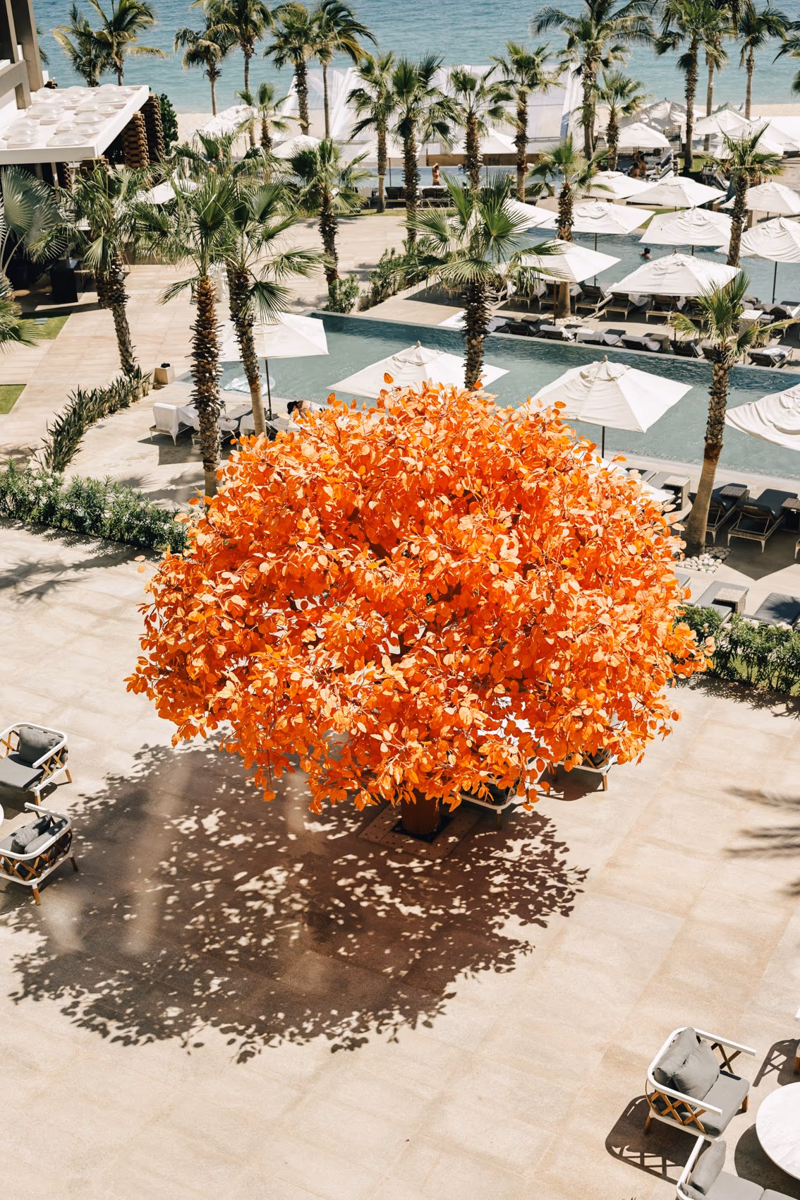 Weddings At Garza Blanca Los Cabos — photo 6