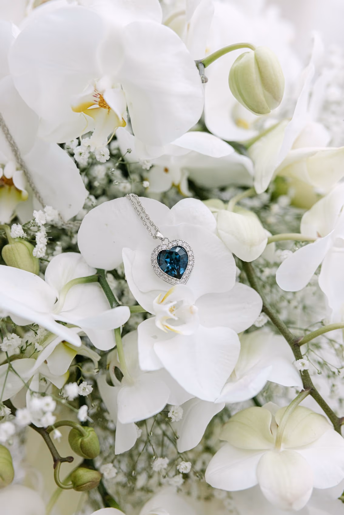 Weddings At Garza Blanca Los Cabos — photo 13